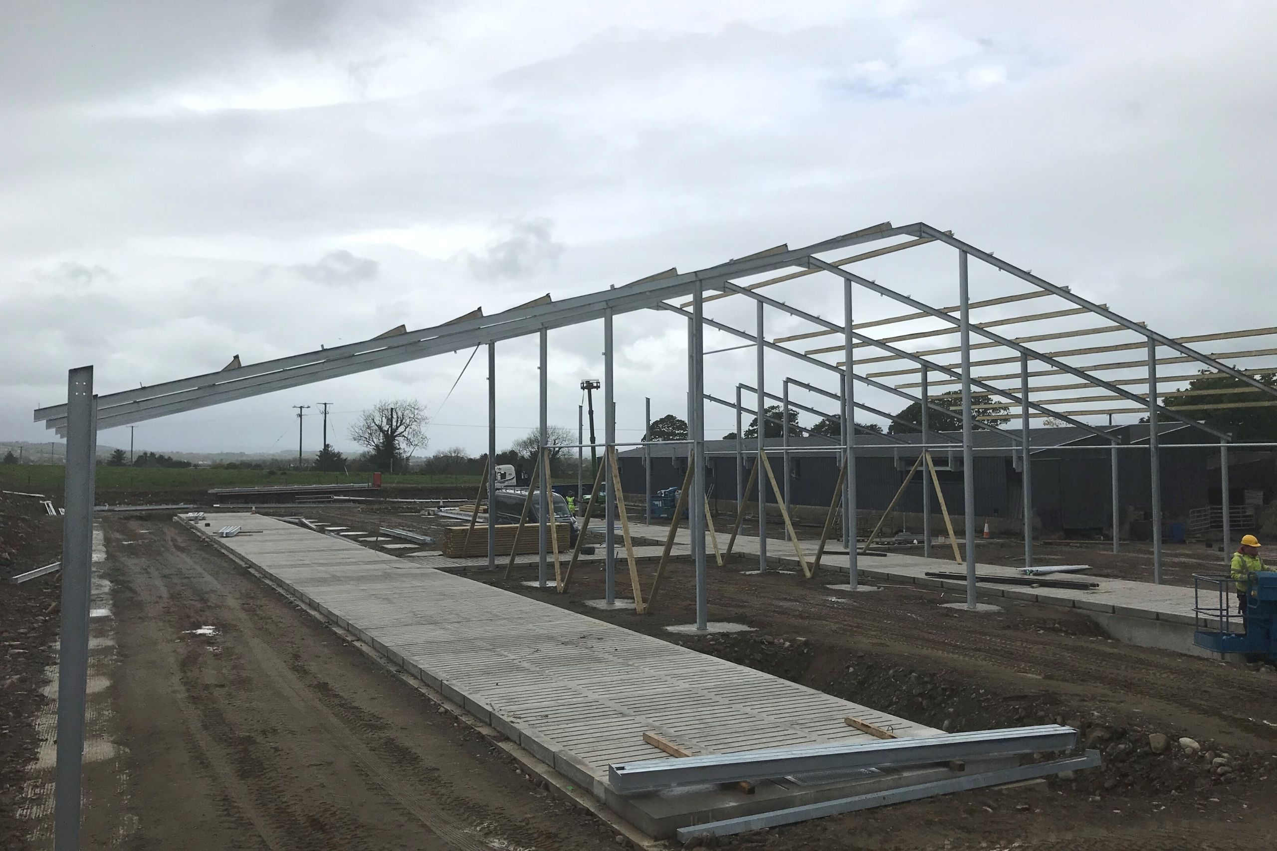 A steel frame cattle shed being erected by McMenamin Engineering